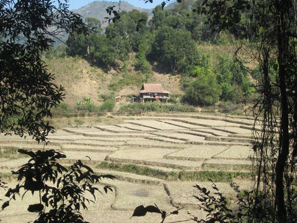 ຮູບພາບທ່ານພົນເອກຫວໍ້ງວຽນຢາບ ຍັງຄົງຝັງເລິກໃນດວງໃຈຂອງຊາວເມື່ອງຟັງ